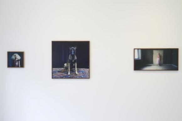 Ausstellungsansicht, Foto © Michael Kollmann