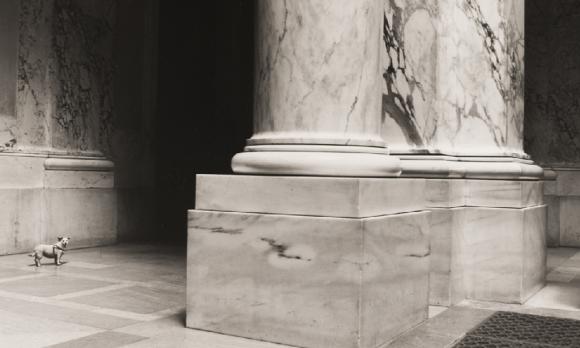 In Pose. Fotofertig im Kunsthistorischen Museum - „Mit großem Interesse“ (1989) 