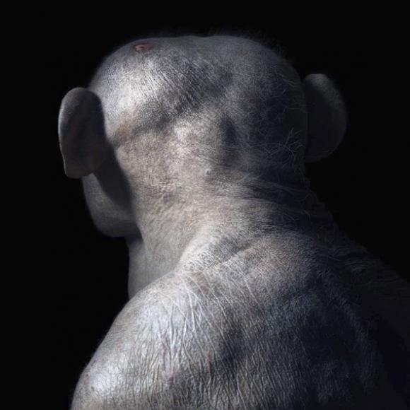 Jambo © Tim Flach