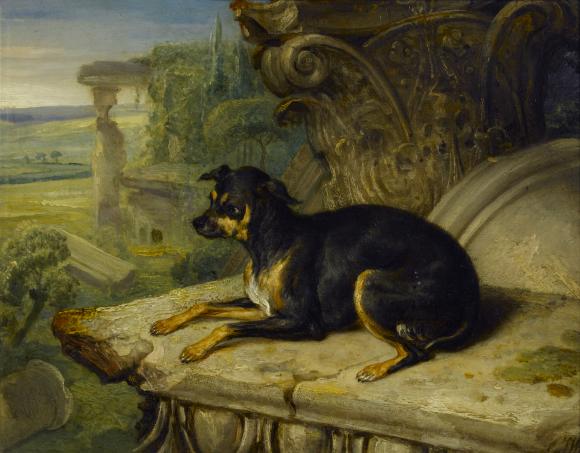 James Ward, Fanny, A Favourite Dog, 1822. By courtesy of the Trustees of Sir Joh