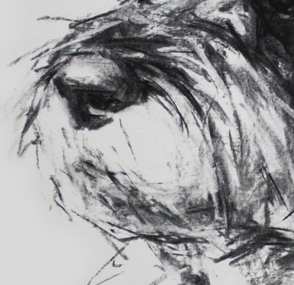 Justine Osborne, Butch, Schnauzer, Nase