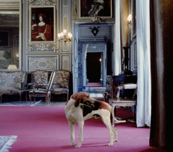 Karen Knorr, Leader of the Pack