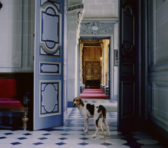 Karen Knorr, Morning