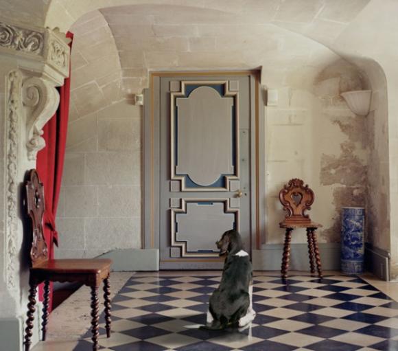 Karen Knorr, Suspense