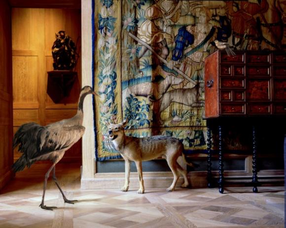 Karen Knorr, The Wolf's and the Stag's Room