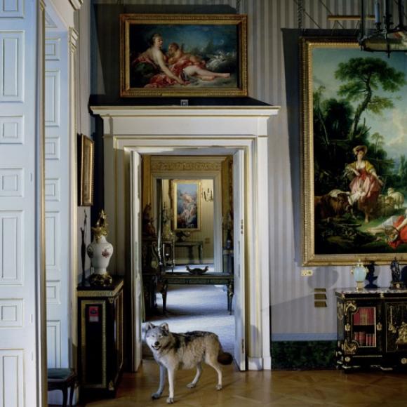 Karen Knorr, Where Have All the Sparrows Gone