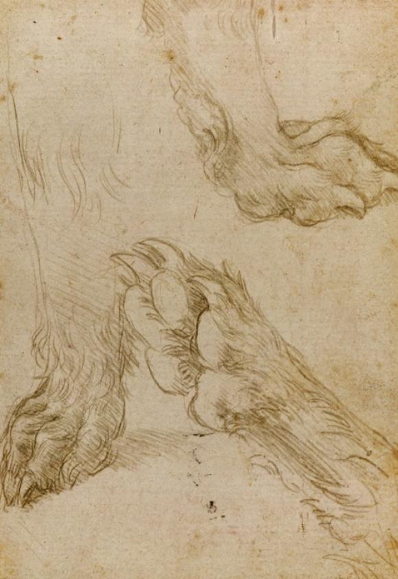 Leonardo da Vinci, Studies of a Dog's Paw (verso), National Galleries of Scotlan