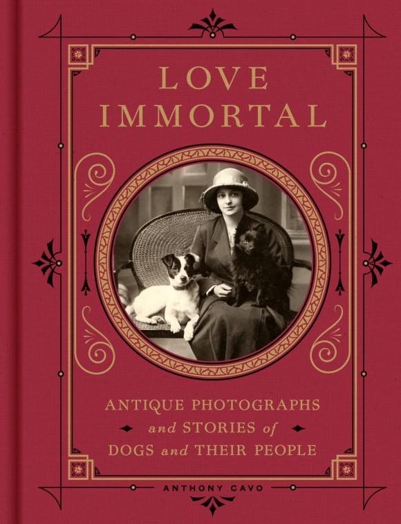 Love Immortal, Buchcover