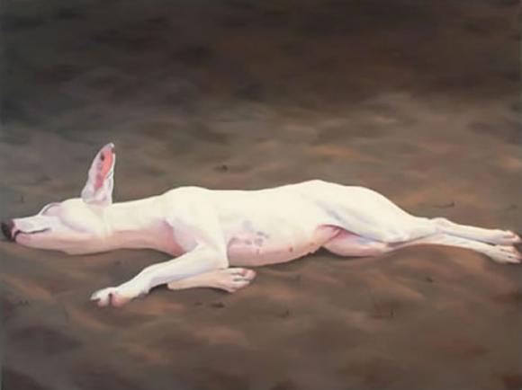 Lying Dog, 2005 © Jane O'Hara