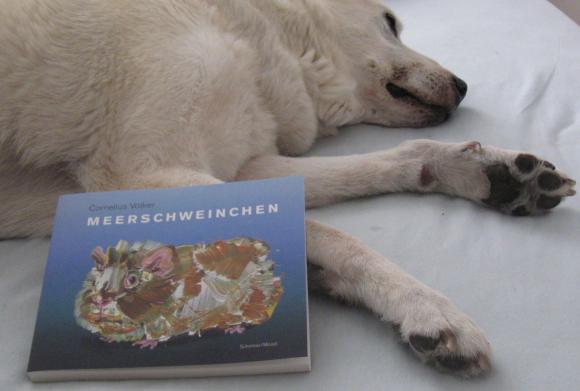 Rocco und das Meerschweinchenbuch