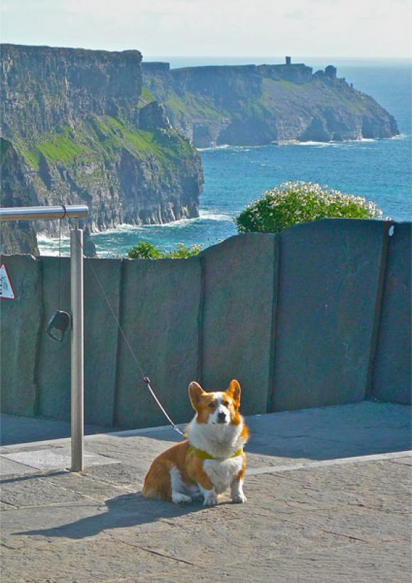 Clément in Irland vor den Cliffs Of Moher, Foto von derstandard.at