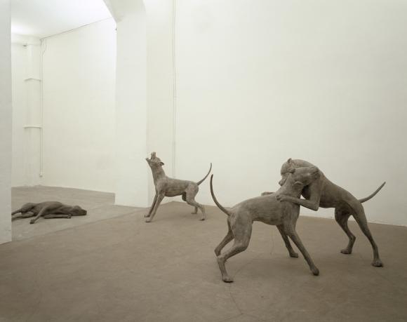 Liliana Moro, Underdog, 2005