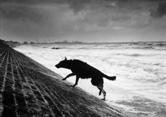 France 1994 © Michel Vanden Eeckhoudt 