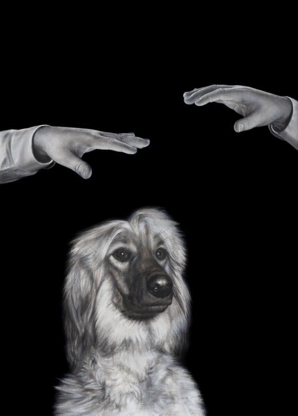 Mysterious Pair of Hands Hypnotiz a Dog, 2020 © Drago Persic