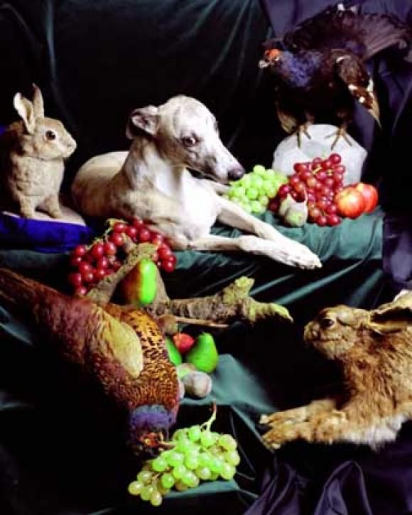 Nadin Maria Rüfenacht, Nature morte, Helden, 2005