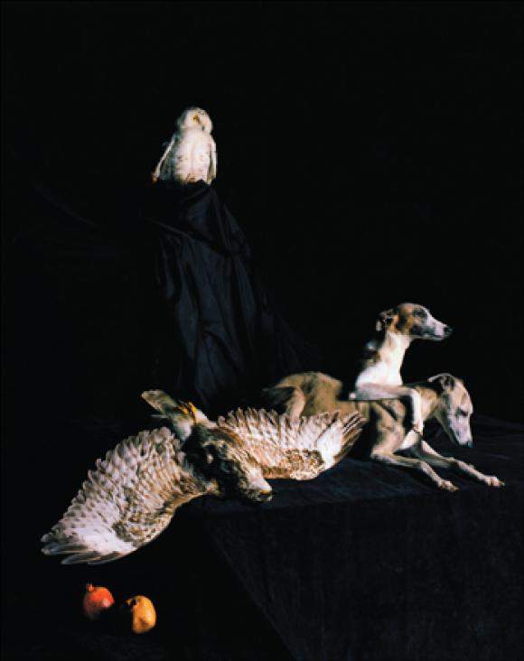 Nadin Maria Rüfenacht, Nature morte, Helden, 2005