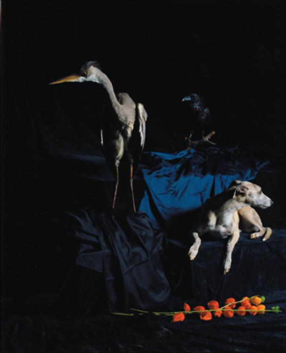 Nadin Maria Rüfenacht, Nature morte, Hund mit Reiher, 2005