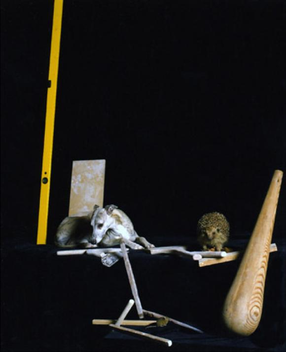 Nadin Maria Rüfenacht, Nature morte, Hund mit Igel und Werkzeug, 2005