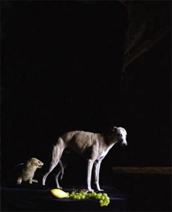 Nadin Maria Rüfenacht, Nature morte, Hund mit Trauben, 2006