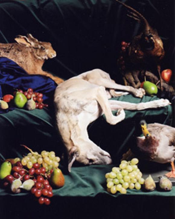 Nadin Maria Rüfenacht, Nature morte, Helden, 2005