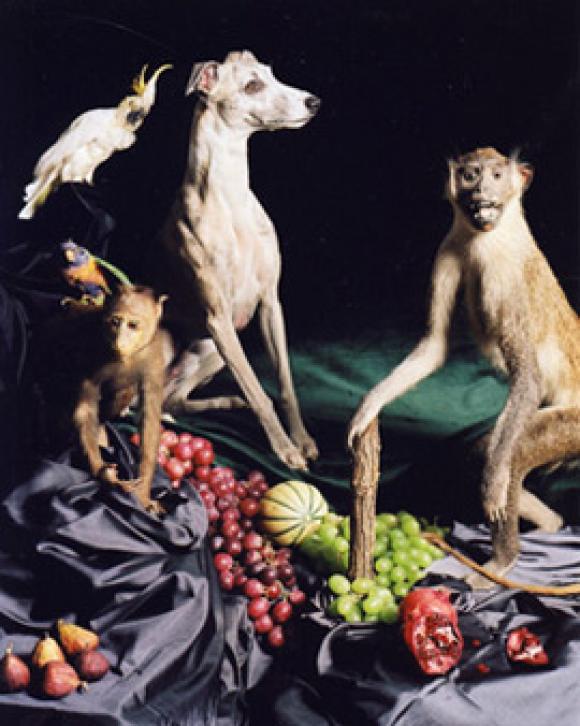 Nadin Maria Rüfenacht, Nature morte, Helden, 2005