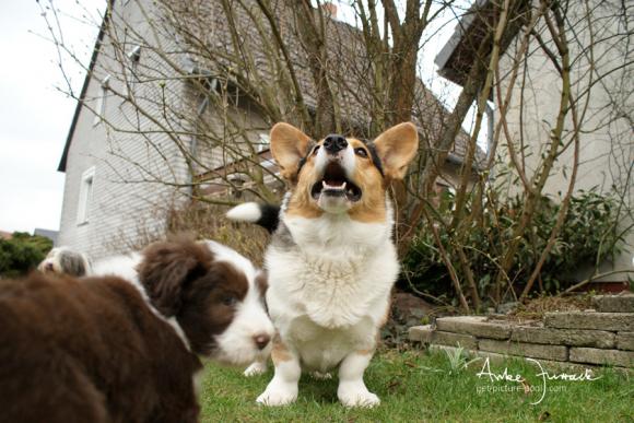 Nelson und Lotta © Anke Jurrack