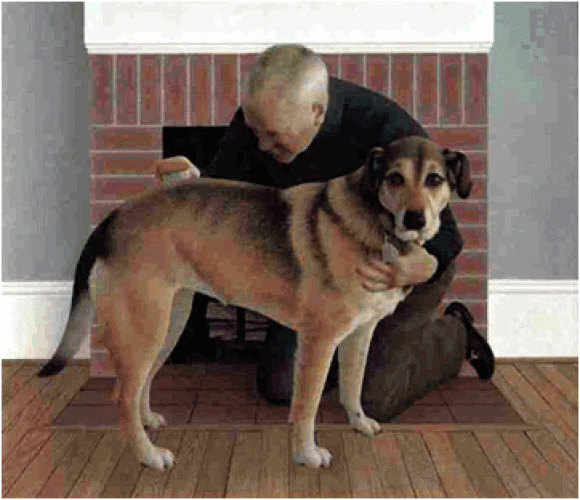 Alex Colville, Dog and Groom, 1991