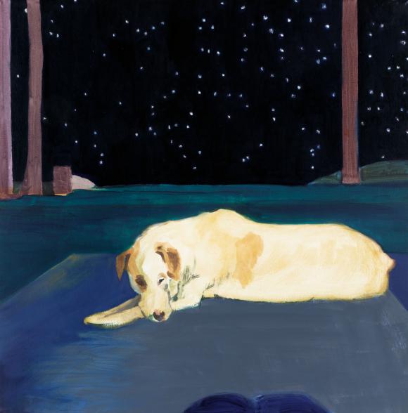 Old Dog, 2019 © Franca Franz