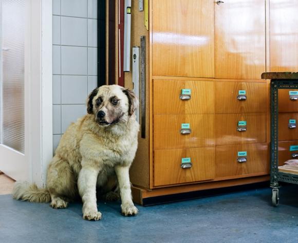 Skeleton in the closet © Klaus Pichler