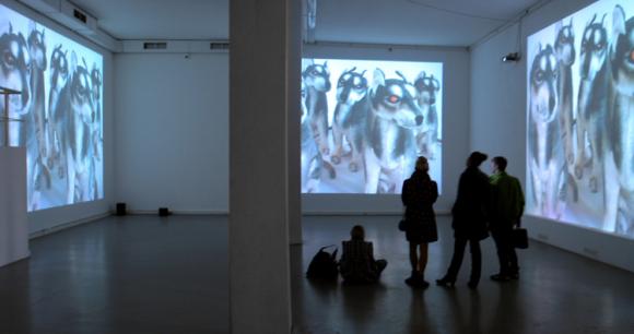 Ausstellungsansicht Galerie XL, Moskau, 2008