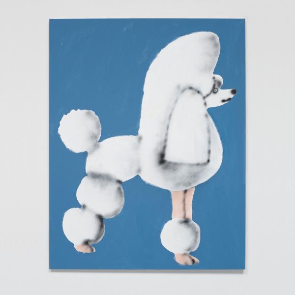 Poodle with blue background, 2019 © Ricardo Passaporte