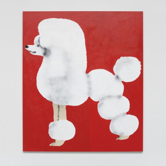 Poodle with red background, 2020 © Ricardo Passaporte