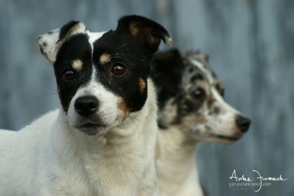 Pootch und Nupito © Anke Jurrack