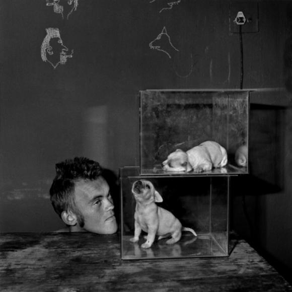 Roger Ballen, Shadow Chamber, Puppies In Fishtanks, 2000