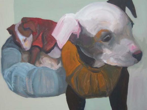 Puppies in sweaters, 2011 © René J Marquez