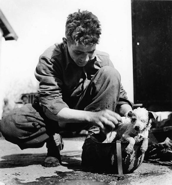 Robert Capa, Soldat mit Hund im Helm, Tunesien, März -April 1943