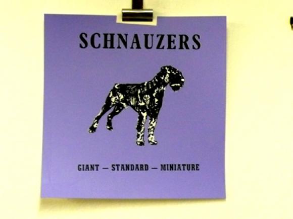 Rob Clarke, S is for Schnauzer