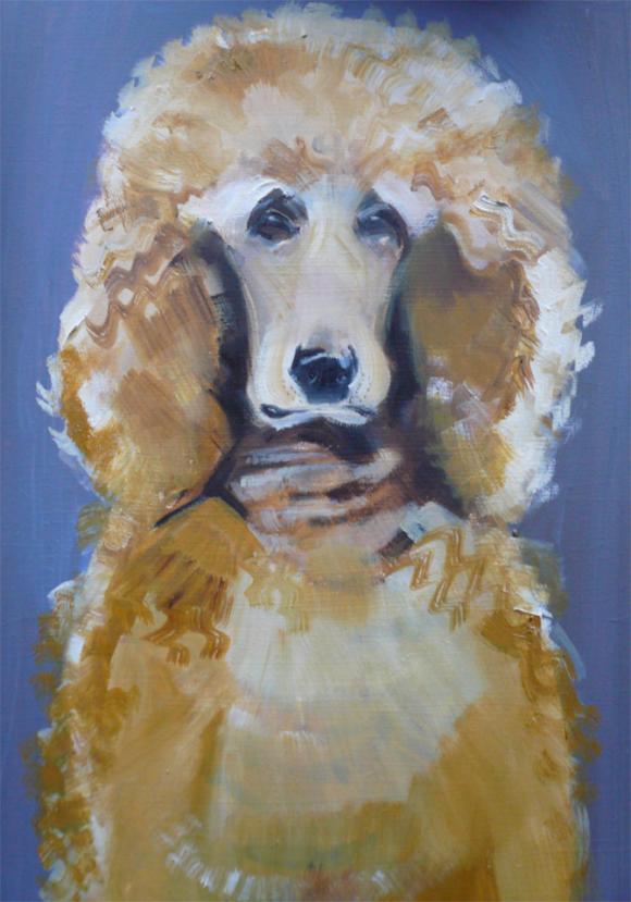 Poodle © Sally Muir