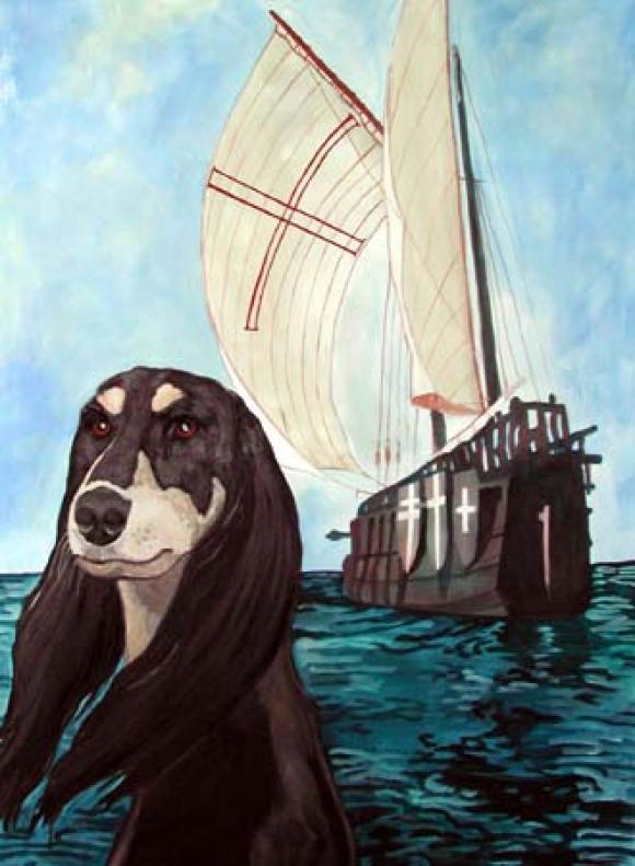 Saluki, 2004