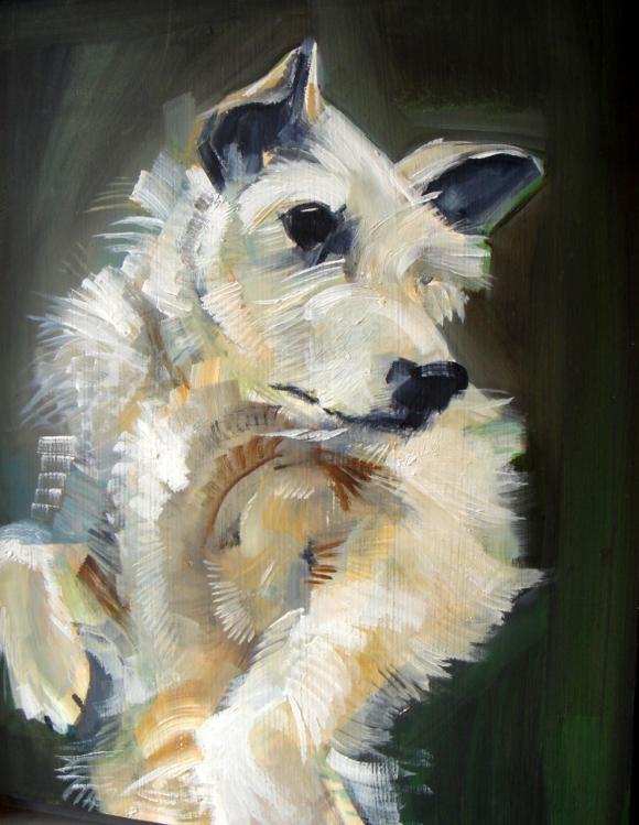 Terrier © Sally Muir