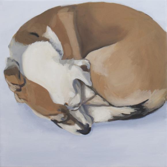 Schlafender Hund, 40x40cm, 2020 © Chantalle Demierre