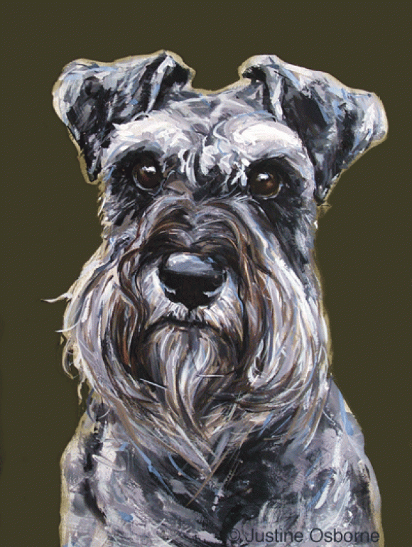 Justine Osborne, Paddy, Zwergschnauzer