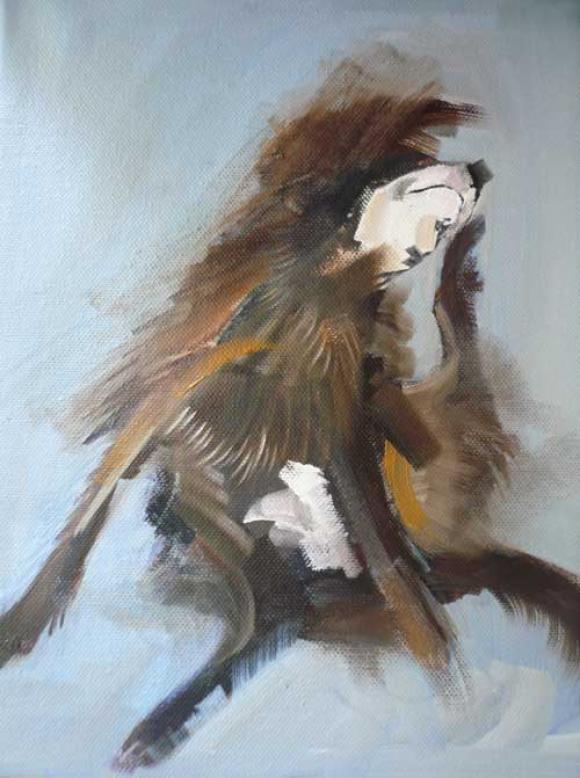 Scratching Dog © Sallly Muir