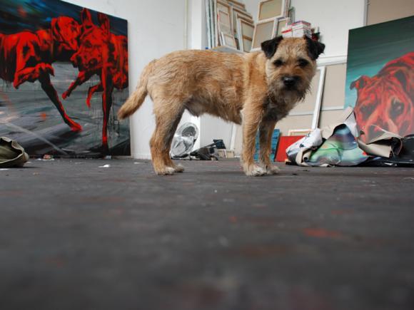 Hund im Studio, 2010