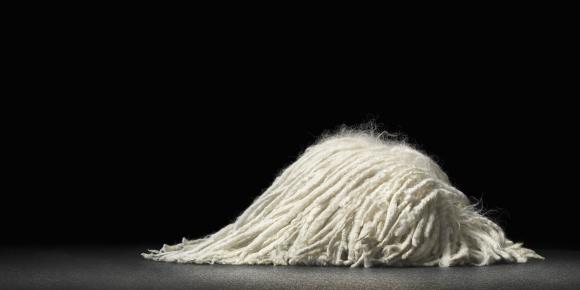 Sleeping Mop © Tim Flach