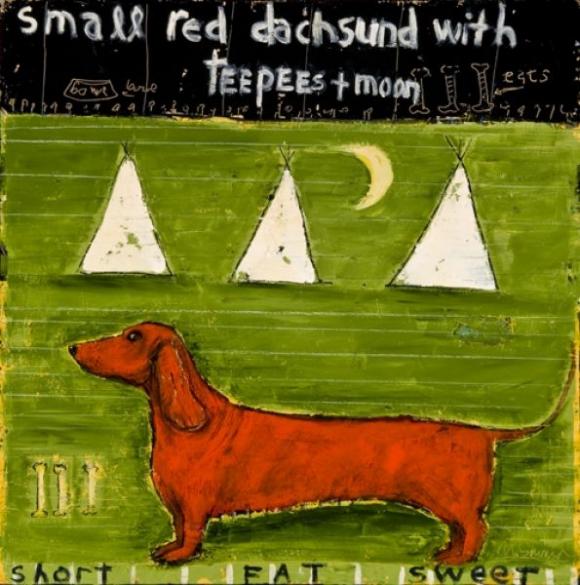 Small Red Dachshund © Mary Scrimgeour