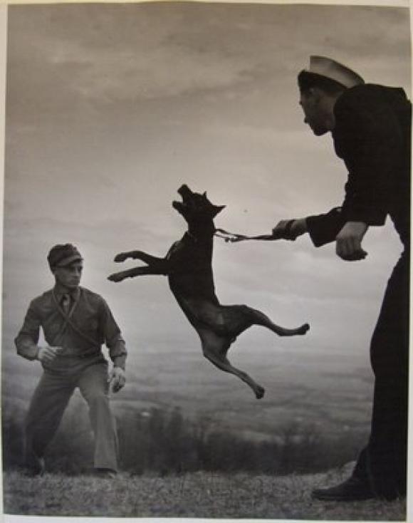 Eugene Smith - A dog with soldiers