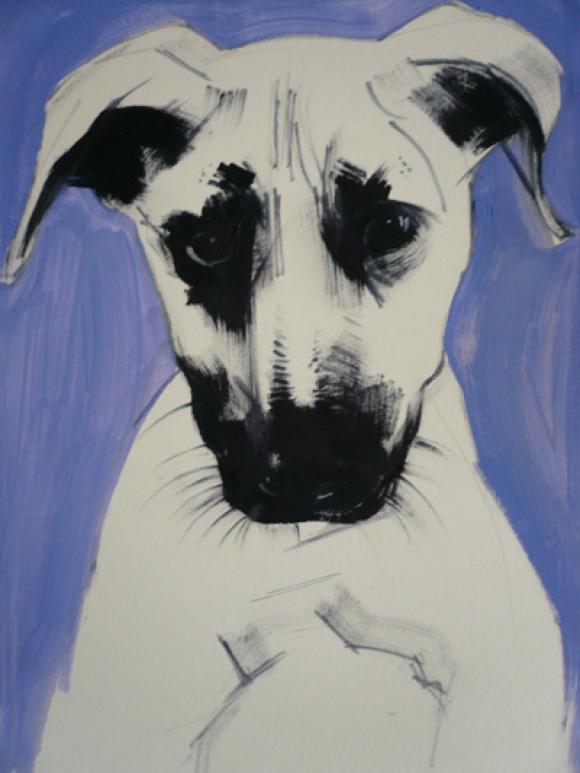 Staffie © Sally Muir