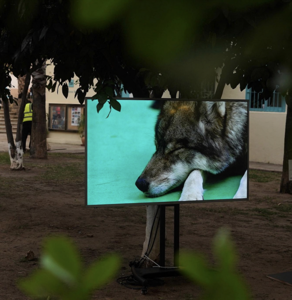 Standing Still, Installationsansicht Framing Movements, 2021, Tel Aviv 