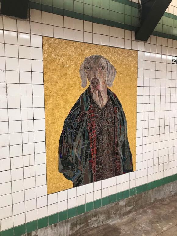 Stationary Figures (2018) © William Wegman, NYC Transit 23 St station. Commissio